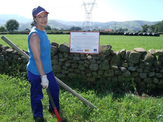 Servicio mantenimiento de zonas comunes