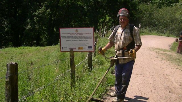 Servicio Mantenimiento de Zonas Verdes