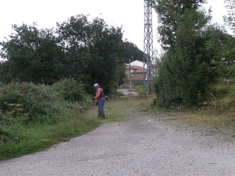 Servicio de Mantenimiento de Zonas Verdes