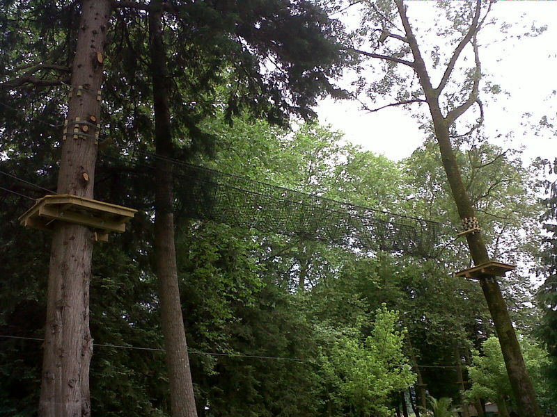 IMG00252-20120603-1554