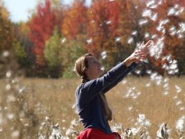 stockvault-field-of-dreams101294