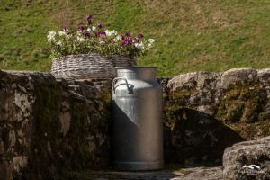 Fiestas vallespasiegos