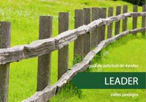 Guia Resumen_Solicitud_Ayudas