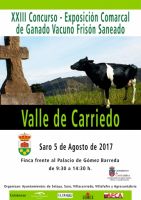 Cartel A4_2017web