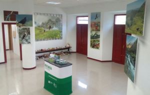 Naturea Cantabria_sede_Puente_Viesgo