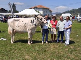 IMG-20190805-WA00301