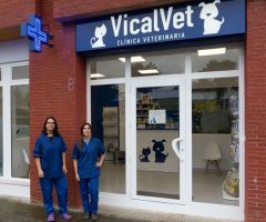 vicalvet1