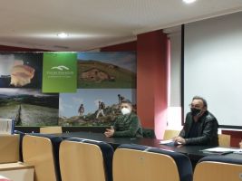 contratos insercion2022